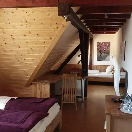 Otel Garni Knittelsheimer Muehle 3*