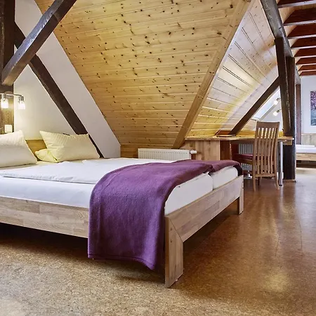 Hotel Garni Knittelsheimer Muehle 3*