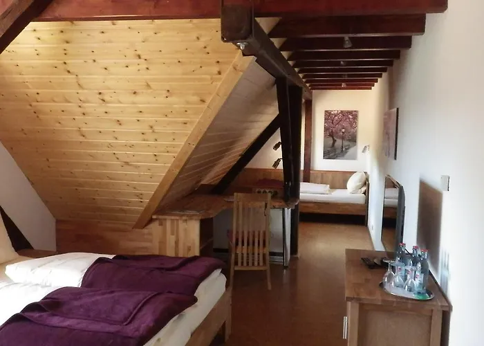 מלון Garni Knittelsheimer Muehle 3*