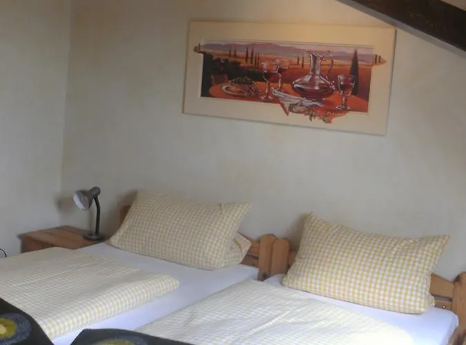 Garni Knittelsheimer Muehle מלון Knittelsheim